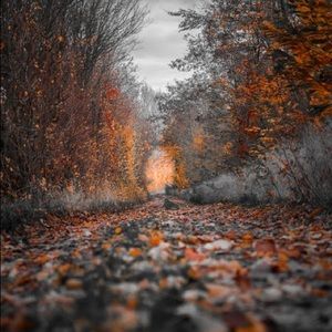 Meet your Posher, Nessi